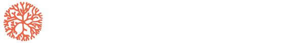 Sarican Design Studio logo